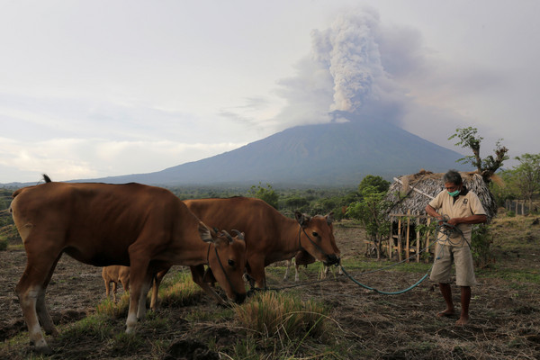 ▲▼印尼阿貢火山爆發。（圖／路透社）