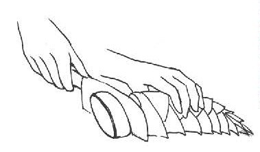 ▲《正確洗菜》書摘。（圖／商周出版提供）