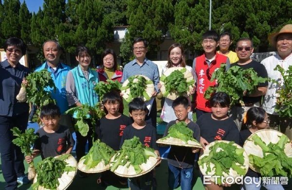 ▲▼師生一起洗芥菜、踩芥菜、醃製酸菜，連幼稚園小朋友也有模有樣的踩酸菜。（圖／桃園市政府提供）