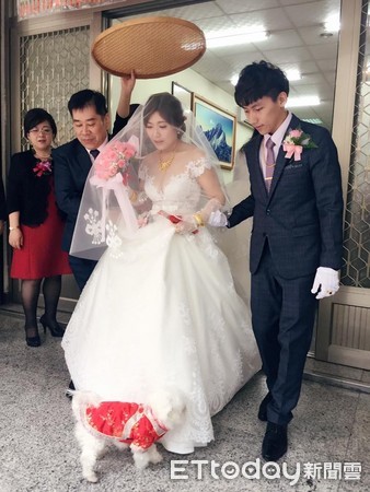 ▲最萌花童！汪穿西裝「陪走紅毯」　漂亮新娘燦笑：沒遺憾了。（圖／網友Yipin Lu提供）