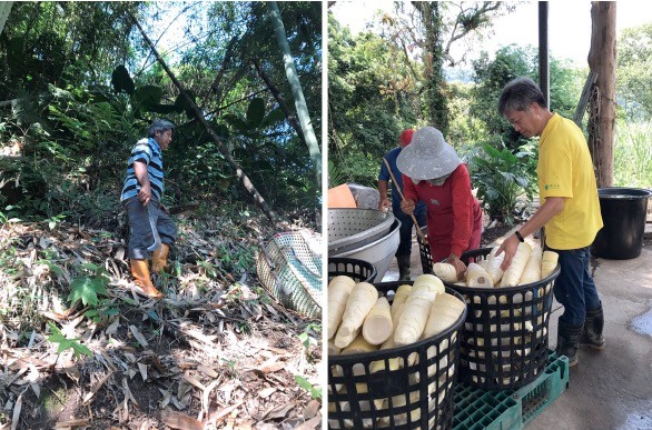 財團法人原住民族文化事業基金會年度宣傳 （原民基金會提供）