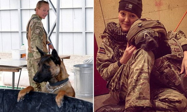 ▲兩隻功勳卓著的英國軍犬，即將面臨安樂死。左為凱文。(圖／翻攝自英軍部落格及臉書)