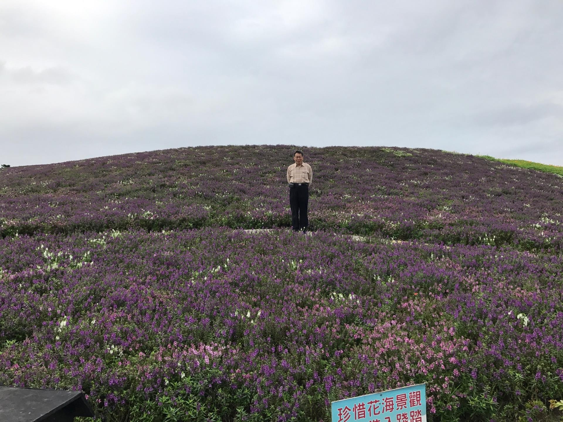 ▲台北市長柯文哲「一個人」的關渡花海。（圖／翻攝自柯文哲臉書）
