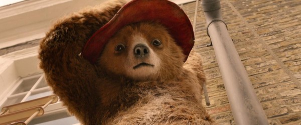 頭戴紅帽的柏靈頓，有著一雙骨碌碌的小熊眼，超級可愛。（Catchplay提供）