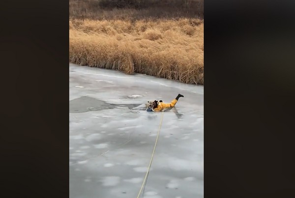 狗狗鬆繩散步困在結冰河裡。（圖／翻攝自Denis Pilon）