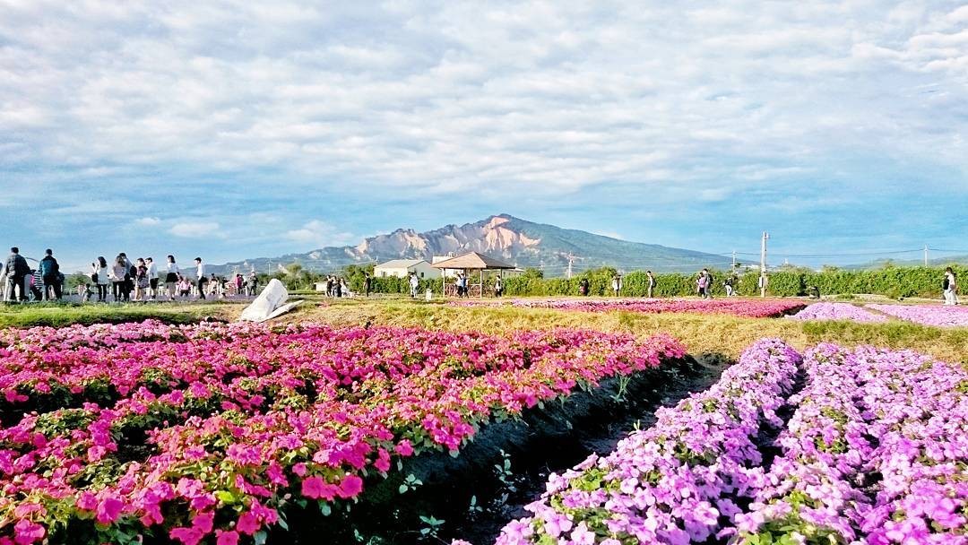 台中8個足球場大的花海盛況 火焰山為背景怎麼拍都夢幻 Ettoday旅遊雲 Ettoday新聞雲