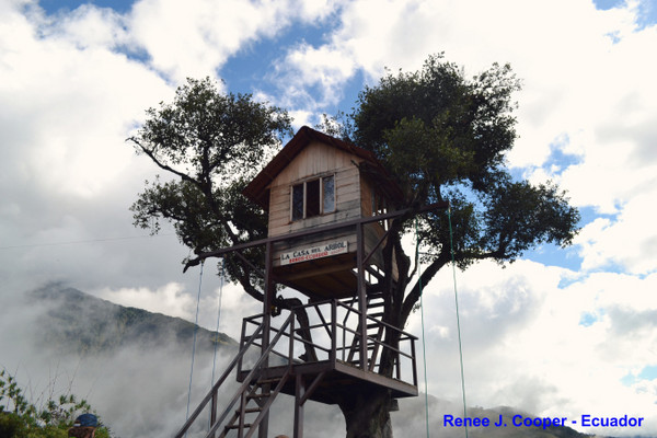 ▲▼厄瓜多爾 La Casa del Arbol鞦韆樹屋。（圖／RENÉE J.COOPER提供，請勿任意翻攝以免侵權）http://vamossunshine.com/zh/