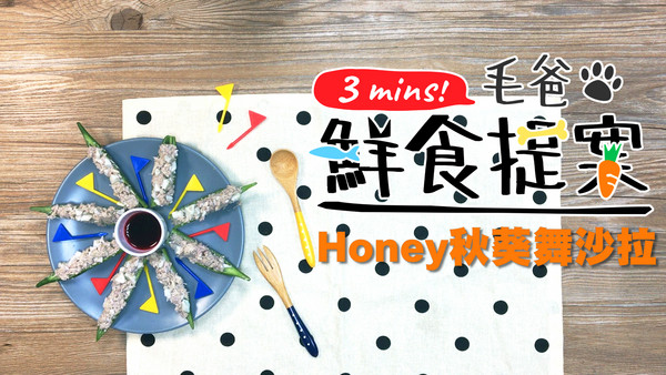 毛孩窈窕輕食～Honey秋葵舞沙拉（圖／毛起來 MaoUp）