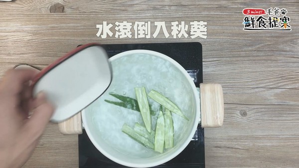 毛孩窈窕輕食～Honey秋葵舞沙拉（圖／毛起來 MaoUp）