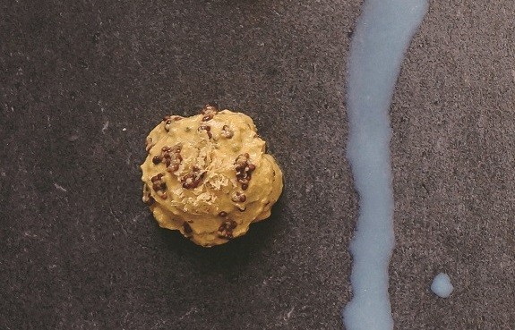 ▲《減糖奇蹟》書摘圖。（圖／橙實文化提供）