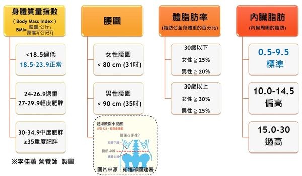 ▲身體測量數值。（製圖／營養師李佳蕙）