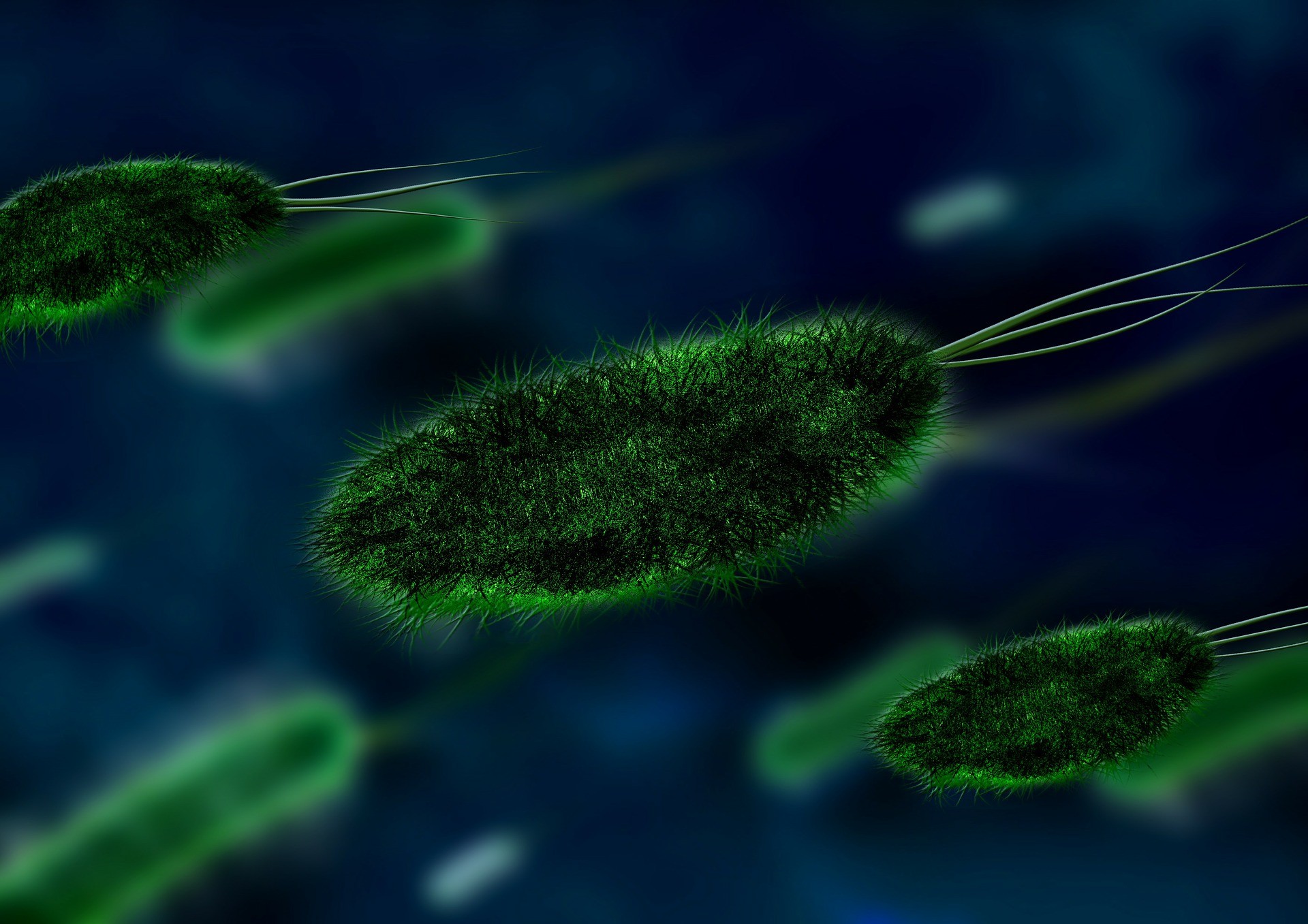 ▲▼細菌示意圖。（圖／翻攝自Pixabay免費圖庫）
