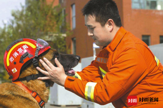 ▲▼南京消防兵沈鵬帶著搜救犬沈虎退伍，陪牠養老。（圖／取自《封面新聞》）