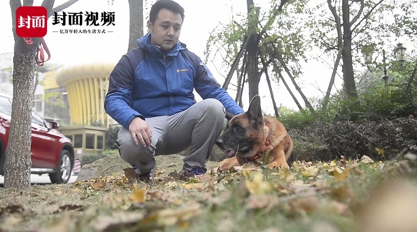 ▲▼南京消防兵沈鵬帶著搜救犬沈虎退伍，陪牠養老。（圖／翻攝《封面新聞》視頻）