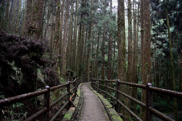 ▲全台14條行山健行路線分級攻略。（圖／Tripbaa提供）