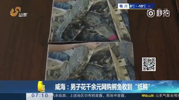 6800元網購鱷魚，買家打開包裹驚呆。（圖／翻攝自中國新聞網微博）
