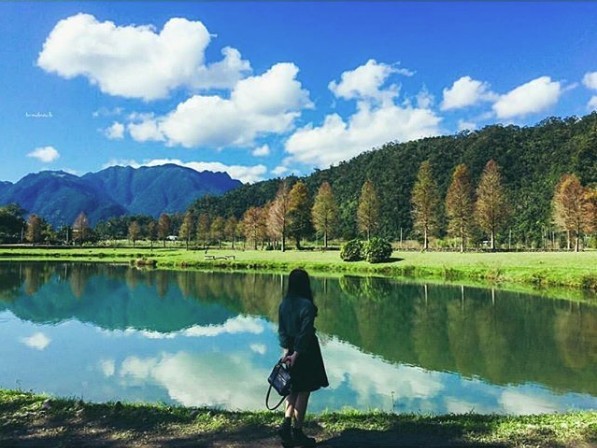 ▲落羽松景點。（圖／IG@weichiuu提供，請勿任意翻攝）