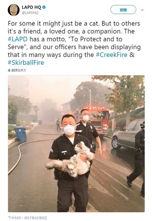 ▲▼加州野火竄燒11萬英畝，洛杉磯暖警救白貓。（圖／翻攝自推特／LAPD HQ‏）