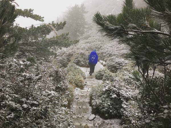 ▲▼合歡山化身雪國。（圖／網友提供，請勿隨意翻拍，以免侵權）