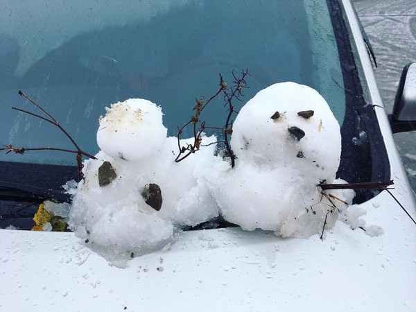 ▲▼合歡山化身雪國。（圖／網友提供，請勿隨意翻拍，以免侵權）