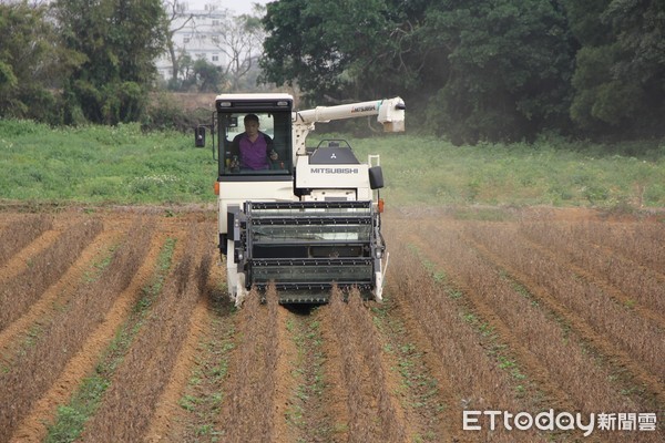 ▲北部雜糧集團產區專攻黑豆 選購國產黑豆最安全・安心。（圖／農委會提供）