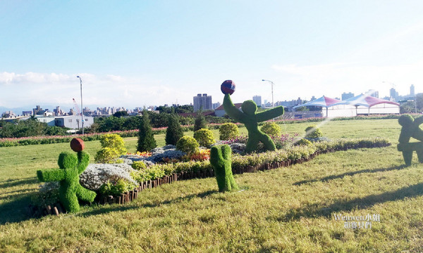 ▲關渡花海節花況更新。（圖／Wenwen小姐和寶貝們提供）