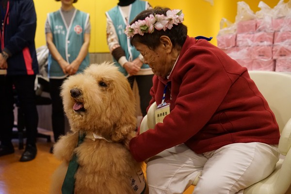 動物治療。（圖／馬偕醫院提供）