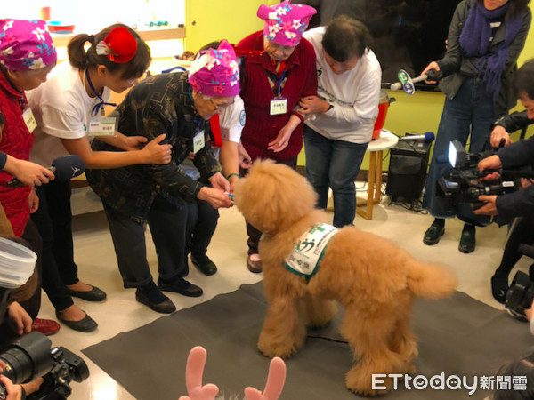 動物治療。（圖／馬偕醫院提供）