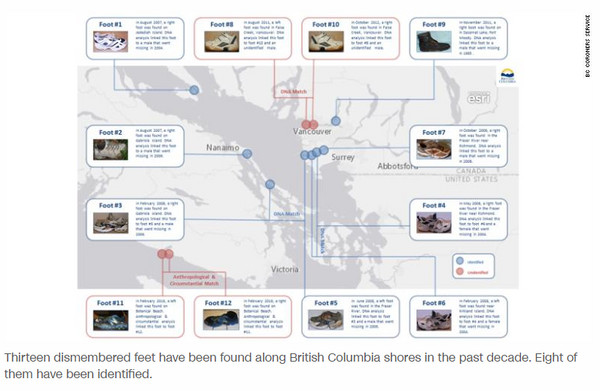 ▲加拿大溫哥華島10年內有13隻人類斷肢被沖上岸。（圖／翻攝自CNN）。