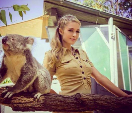 Paris Hilton在其IG上載與樹熊的自拍照。（圖／翻攝自IG@parishilton）