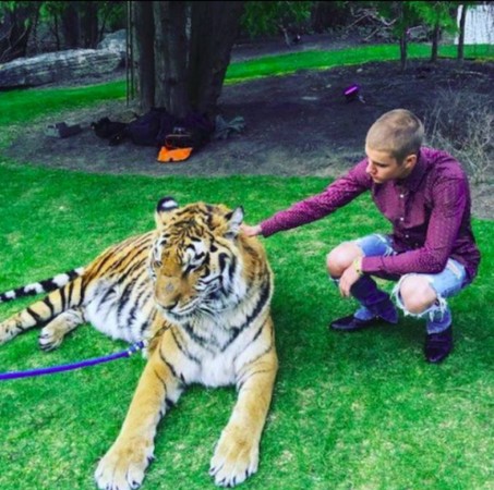Justin Bieber與老虎自拍。（圖／翻攝自IG@justinbieber）