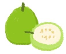 毛孩便秘怎麼辦？快吃便秘剋星拯救毛屁屁！（圖／毛起來 MaoUp）