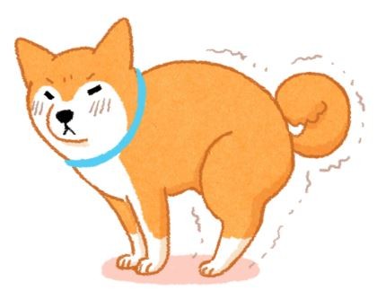 毛孩便秘怎麼辦？快吃便秘剋星拯救毛屁屁！（圖／毛起來 MaoUp）