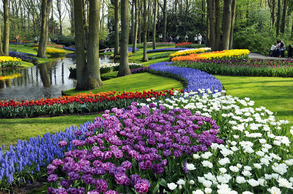 ▲荷蘭鬱金香花海。（圖／鳳凰旅遊提供）