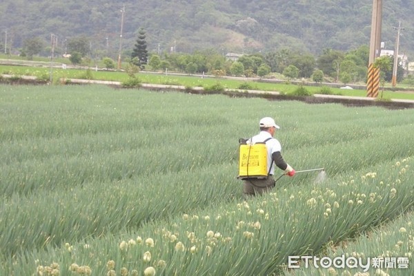 花蓮農改場建議農民在寒冬季節尤其是寒流來襲時，應預先做好農作物防寒、防病措施，避免農作物損失。（圖／花蓮區農業改良場提供）