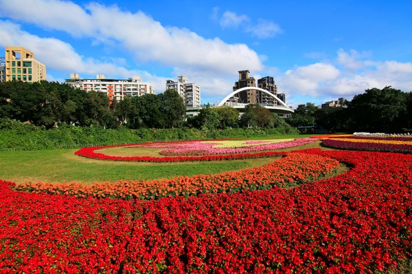 ▲古亭河濱花海。（圖／臺北市政府工務局水利工程處提供）