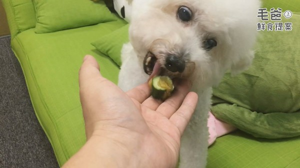 勁脆VS綿密雙拼新滋味～鮮脆雙色黃瓜堡！（圖／毛起來 MaoUp）