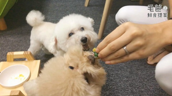 勁脆VS綿密雙拼新滋味～鮮脆雙色黃瓜堡！（圖／毛起來 MaoUp）