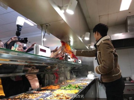 ▲王凱在餐廳幫學生裝飯菜。（圖／翻攝自微博）