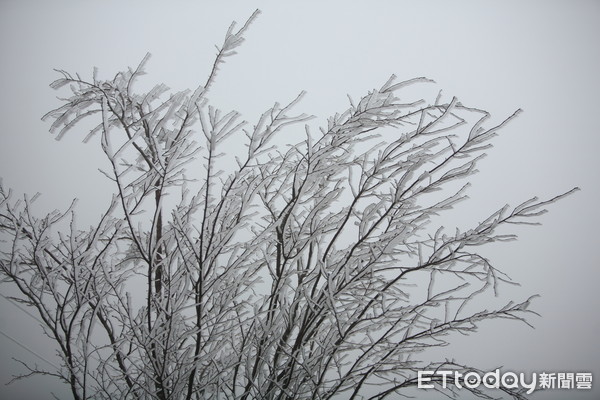 ▲▼下雪,結霜,冰霰,寒冷,冬天,低溫,零度,結冰             。（圖／記者姜國輝攝）