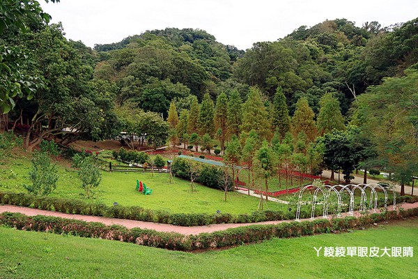 ▲新竹隱藏版落羽松秘境！帶聖誕帽免費入園、佈景超好拍。（圖／ㄚ綾綾單眼皮大眼睛提供，請勿任意翻攝以免侵權）