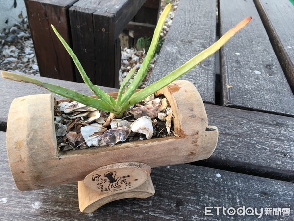 ▲竹筒盆栽DIY，用的是養蚵產生的廢棄竹材，深具意義。（圖／台江國家公園管理處提供）