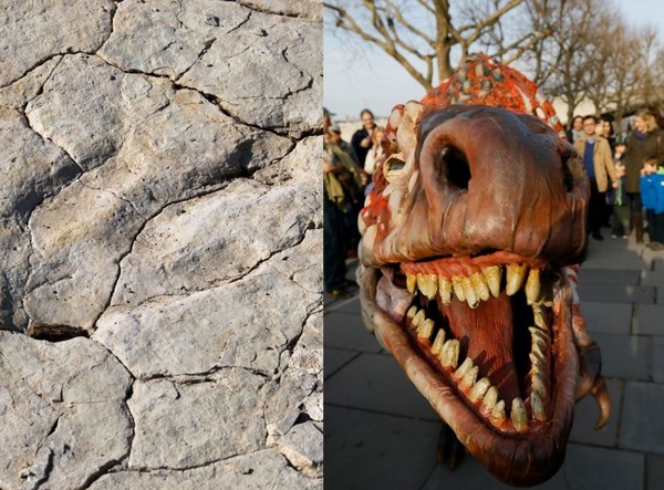 ▲▼ 1億1500萬年恐龍足跡遭惡意破壞！　澳洲「恐龍做夢」遺址學家揪心。（圖／達志影像／美聯社／示意圖，與本文無關。）