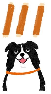 貪吃毛孩注意！一天零食吃多少才不會太過？（圖／毛起來 MaoUp）