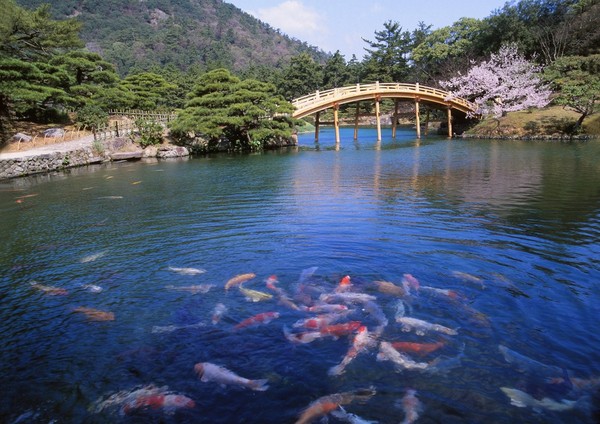 ▲日本四國山陰山陽。（圖／七逗旅遊網）