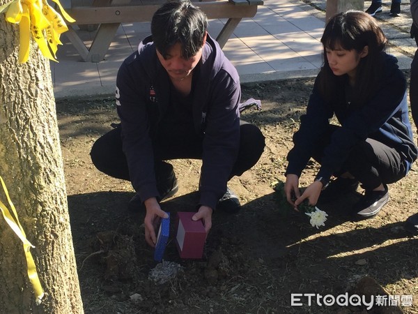 忘不了你離開的眼神...　爸爸親手把米格魯骨灰埋進樹穴：謝謝（圖／新北市動保處提供）