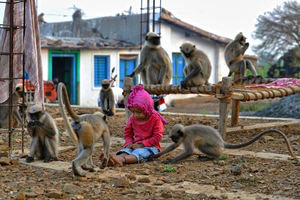 ▲▼印度男童與猴子相處             。（圖／CFP）