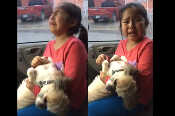 墨西哥妹妹抱剪毛愛犬痛哭。（圖／翻攝自Ylaltic Moxxa）
