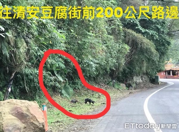 ▲網友捐1包飼料遭嫌「太少」拒收　狗園無奈：那是開玩笑。（圖／網友黃小姐提供）