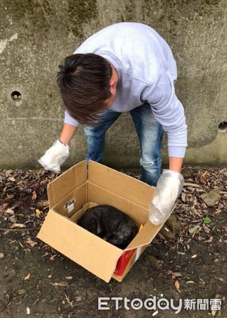 ▲網友捐1包飼料遭嫌「太少」拒收　狗園無奈：那是開玩笑。（圖／網友黃小姐提供）